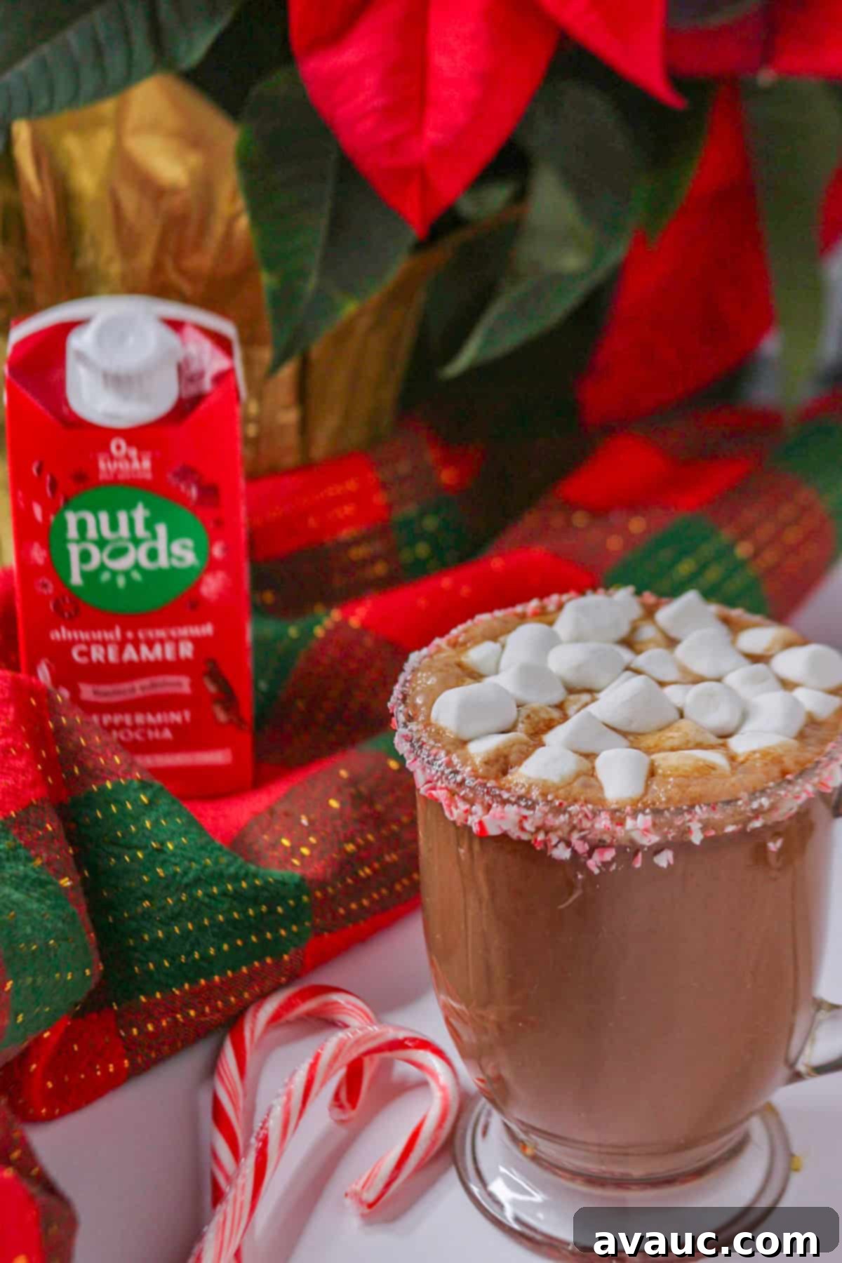 Homemade Plant-Based Peppermint Hot Chocolate 5 Homemade Peppermint Hot Chocolate (dairy-free) in a glass mug with a carton of nutpods behind it, showing the vibrant crushed candy cane rim.