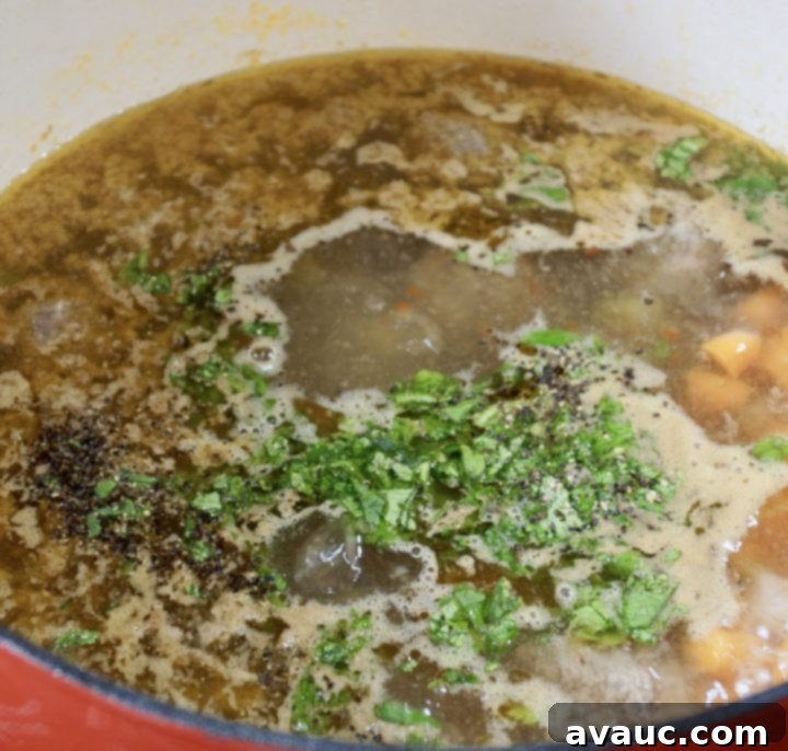 Hearty Mexican Meatball Soup 7 img 772 6