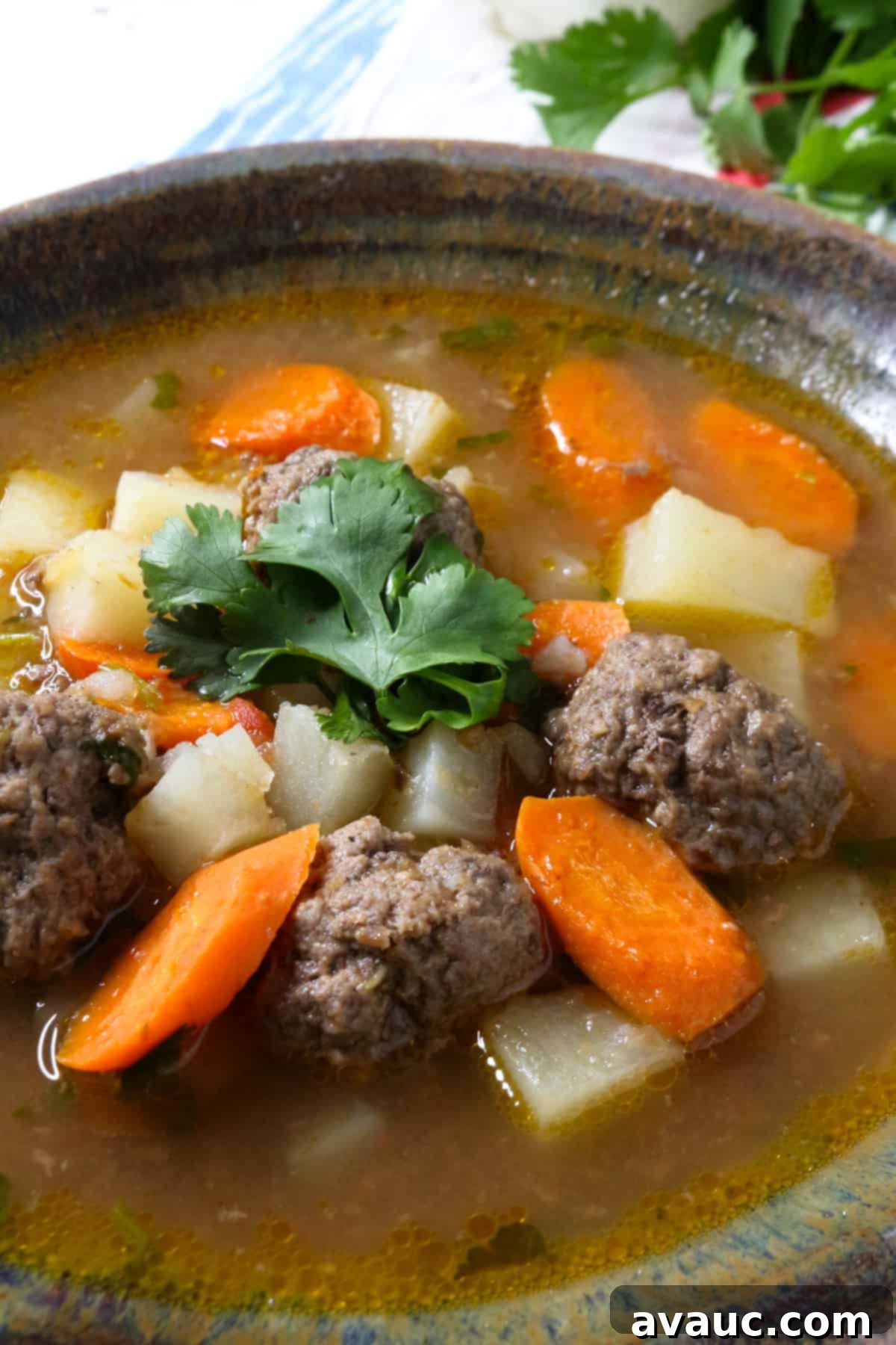 Hearty Mexican Meatball Soup 8 Bowl of caldo de albondigas