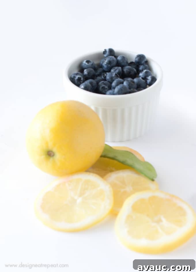 Step-by-step guide to making refreshing Blueberry Lemon Moscato Spritzers for your summer gatherings.