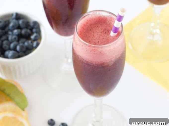 Close-up of a refreshing Blueberry Lemon Moscato Spritzer with ice and garnishes.