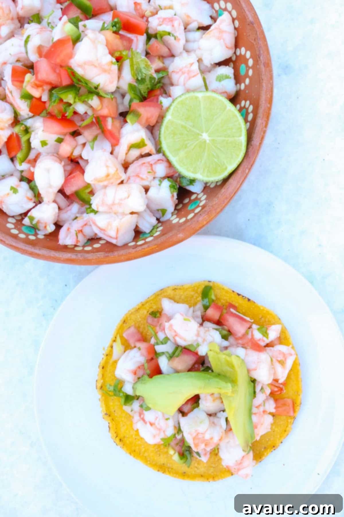Zesty Mexican Shrimp Ceviche 7 Ceviche de Camaron (Mexican shrimp ceviche) in a brown bowl and a plate with a tostada topped with ceviche