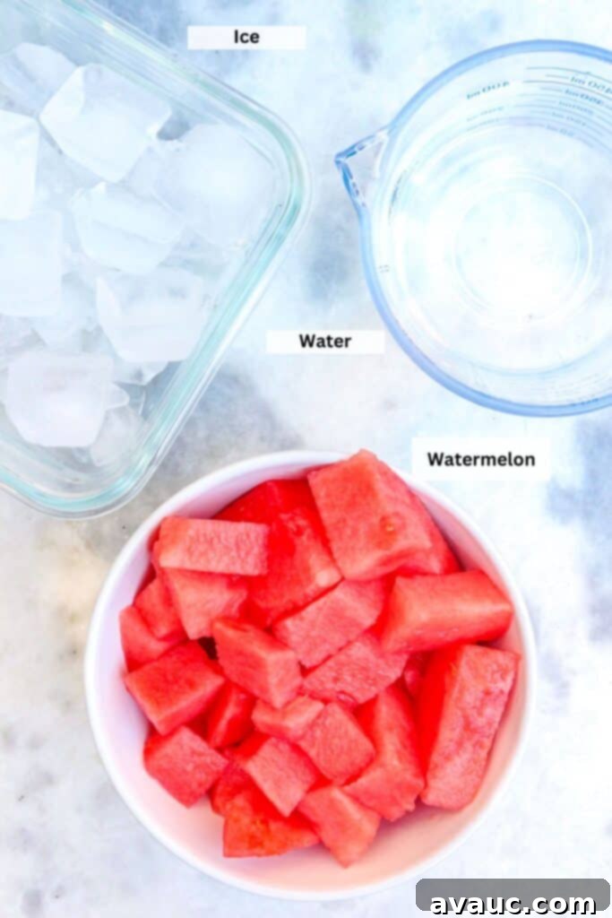 Ingredients for Agua de Sandia: ice, water, watermelon cubes ready for blending