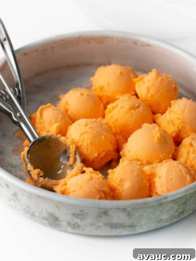 Creamy Orange Fizz 5 Scoops of orange sherbet in a metal baking pan with an ice cream scoop, ready to be added to the punch.
