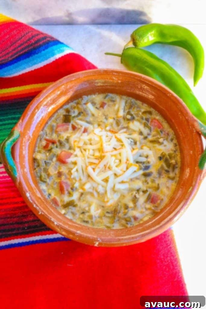 Zesty Green Chile and Melted Cheese 2 Top view of a brown Mexican bowl with Chile Verde con Queso