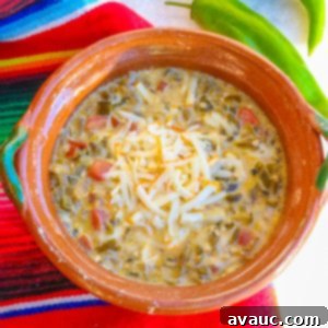 Zesty Green Chile and Melted Cheese 11 Top view of a brown Mexican bowl with Chile Verde con Queso