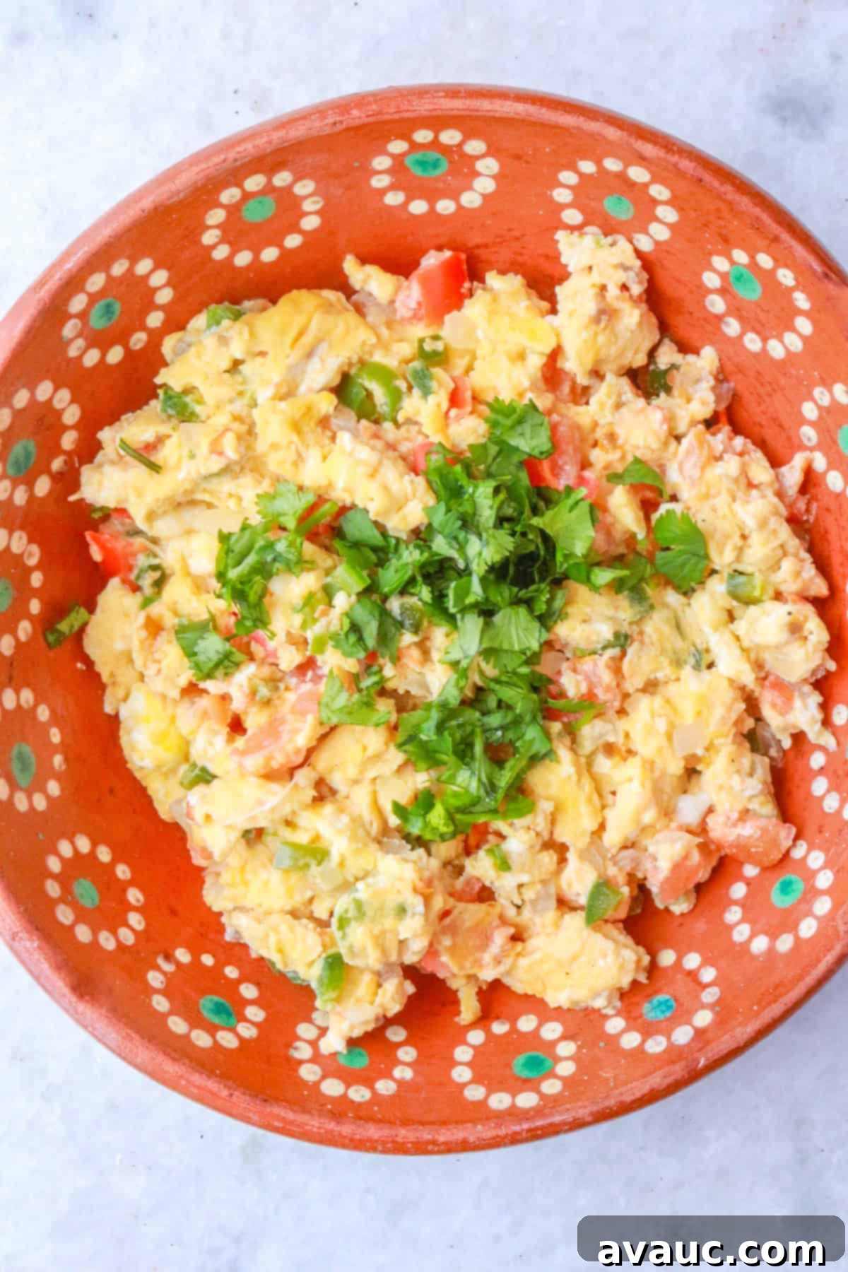 Mexican Scrambled Eggs 10 Huevos a la Mexicana in a brown Mexican plate
