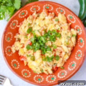 Mexican Scrambled Eggs 11 Huevos a la Mexicana in a brown Mexican plate