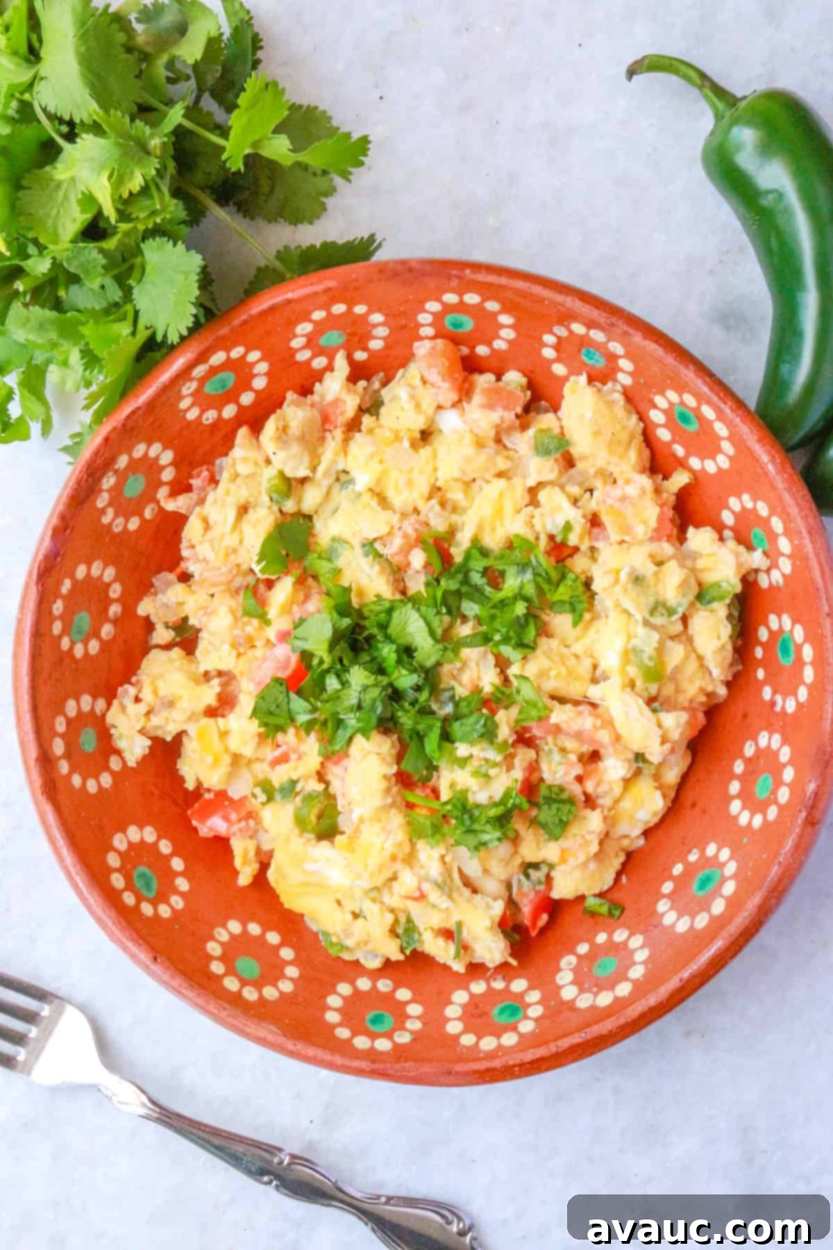 Mexican Scrambled Eggs 2 Huevos a la Mexicana in a brown Mexican plate