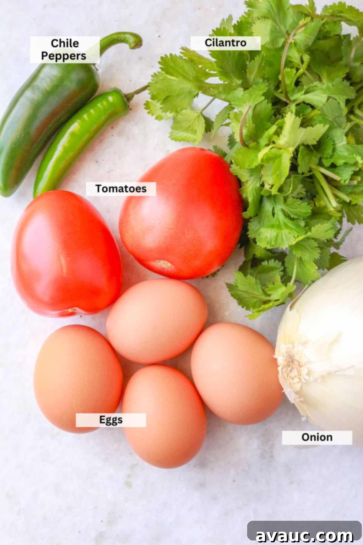 Mexican Scrambled Eggs 3 Ingredients for Huevos a la Mexicana: Green Chile peppers, cilantro, onion, tomatoes, eggs