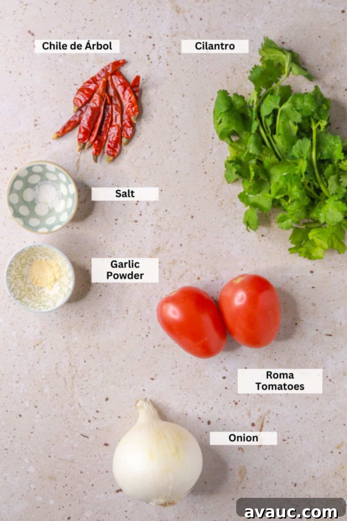 Chile de Arbol Salsa: A Fiery Tomato Delight 3 Chile de arbol salsa ingredients: chiles de arbol, cilantro, salt, garlic powder, Roma tomatoes, onion