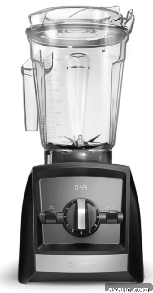 Chile de Arbol Salsa: A Fiery Tomato Delight 10 Vitamix Blender